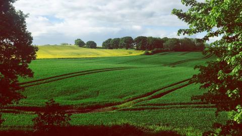 Piano contributi - CambiamoAgricoltura